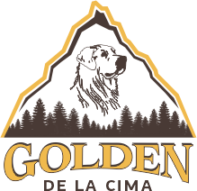 logo Golden de la Cima